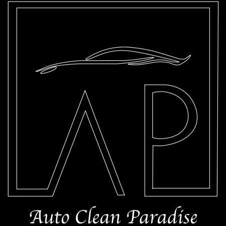 logo auto clean paradise 78
